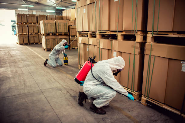 Professional Pest Control in Troy, IL