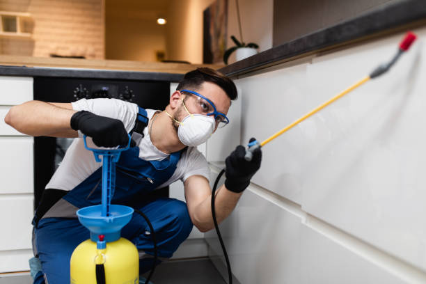 Best Bed Bug Extermination  in Troy, IL
