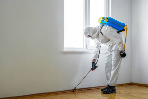 Best Cockroach Control Services  in Troy, IL