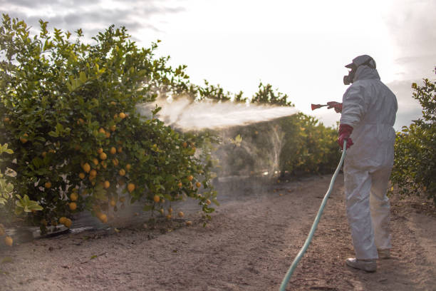 Best Pest Control Near Me  in Troy, IL