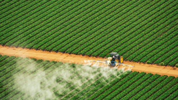 Best Pest Removal Services  in Troy, IL